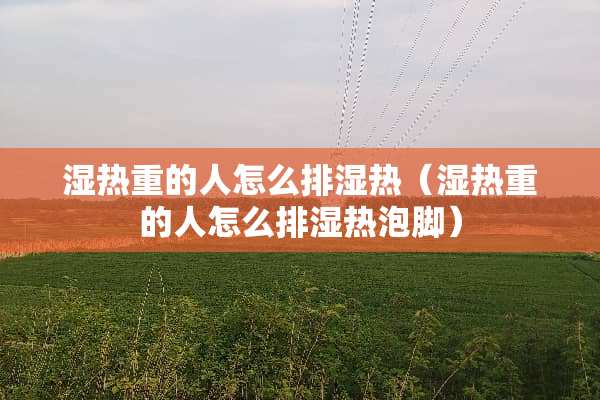 湿热重的人怎么排湿热（湿热重的人怎么排湿热泡脚）