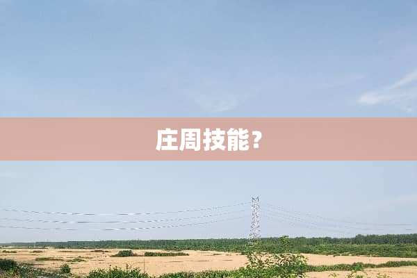 庄周技能？