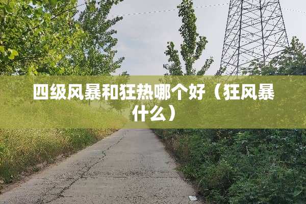 四级风暴和狂热哪个好（狂风暴什么）