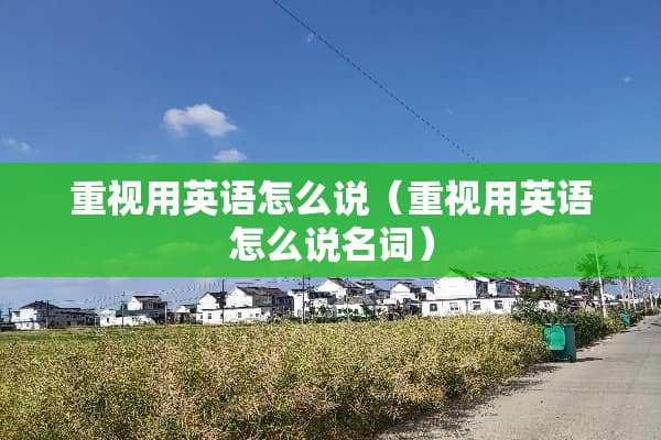 重视用英语怎么说（重视用英语怎么说名词）