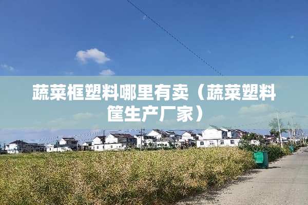 蔬菜框塑料哪里有卖（蔬菜塑料筐生产厂家）