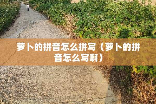 萝卜的拼音怎么拼写（萝卜的拼音怎么写啊）