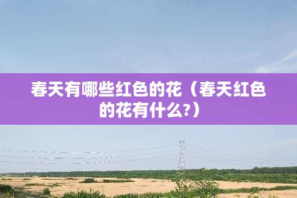 春天有哪些红色的花（春天红色的花有什么?）