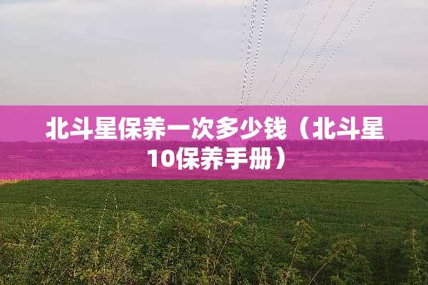 北斗星保养一次多少钱（北斗星10保养手册）