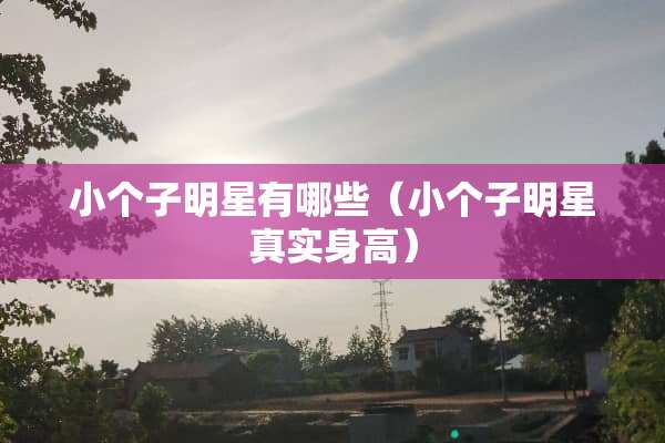 小个子明星有哪些（小个子明星真实身高）
