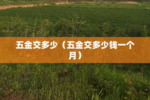 五金交多少（五金交多少钱一个月）