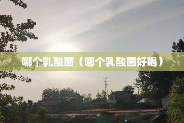 哪个*酸菌（哪个*酸菌好喝）
