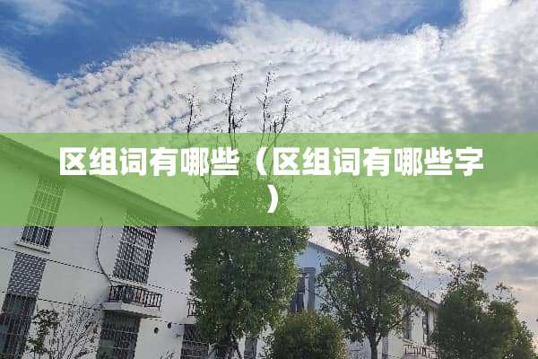 区组词有哪些（区组词有哪些字）