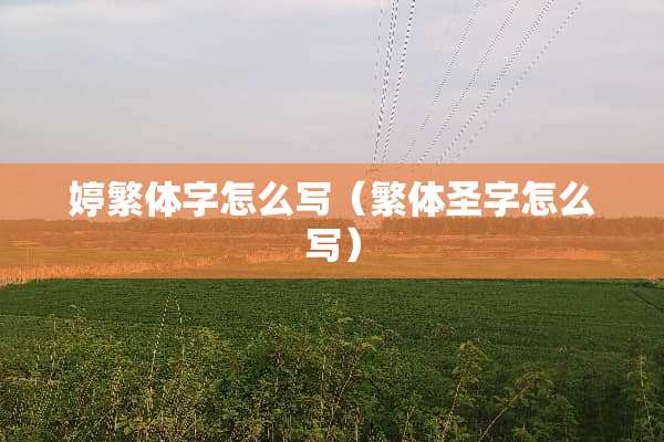 婷繁体字怎么写（繁体圣字怎么写）