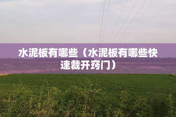 水泥板有哪些（水泥板有哪些快速裁开窍门）