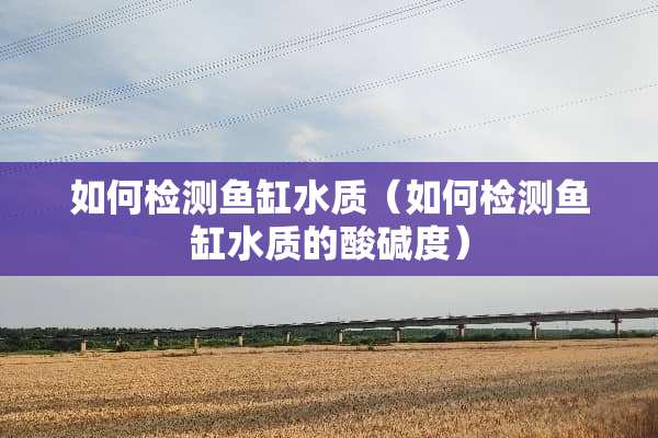 如何检测鱼缸水质（如何检测鱼缸水质的酸碱度）