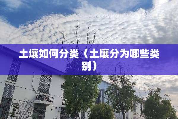 土壤如何分类（土壤分为哪些类别）