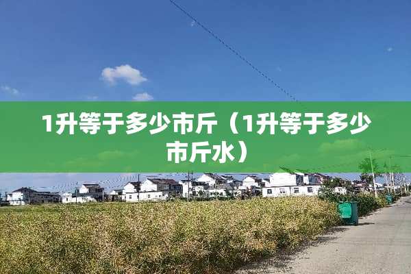 1升等于多少市斤（1升等于多少市斤水）