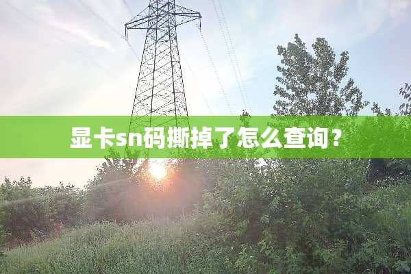 显卡sn码撕掉了怎么查询？