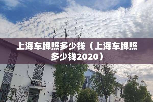 上海车牌照多少钱（上海车牌照多少钱2020）