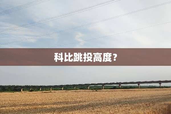 科比跳投高度？