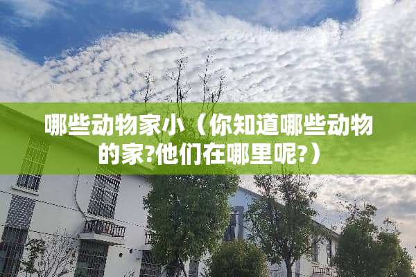 哪些动物家小（你知道哪些动物的家?他们在哪里呢?）