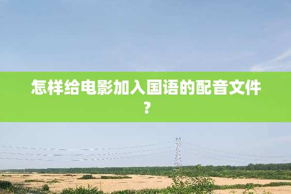 怎样给电影加入国语的配音文件？