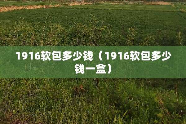 1916软包多少钱（1916软包多少钱一盒）