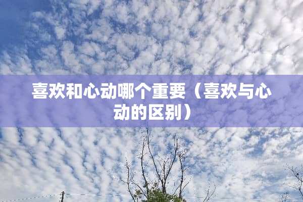 喜欢和心动哪个重要（喜欢与心动的区别）