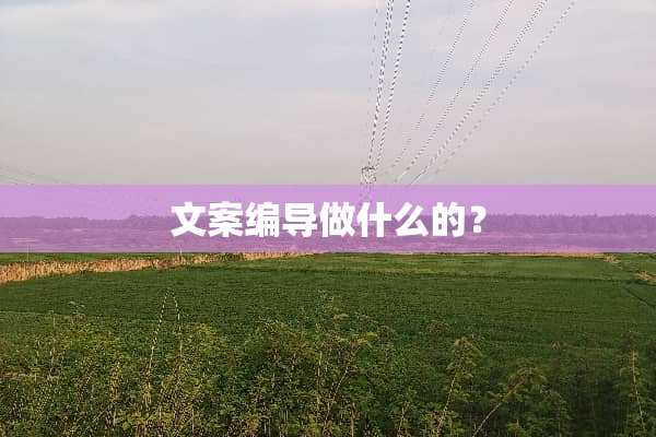 文案编导做什么的？