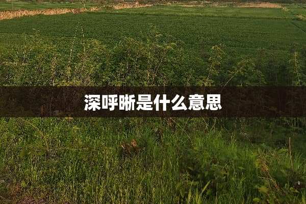 深呼晰是什么意思