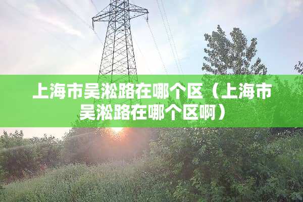 上海市吴淞路在哪个区（上海市吴淞路在哪个区啊）