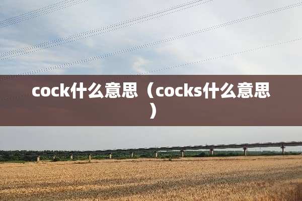 cock什么意思（cocks什么意思）