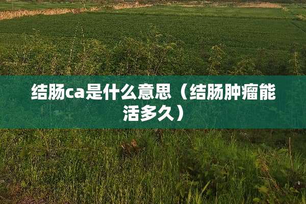 结肠ca是什么意思（结肠肿瘤能活多久）