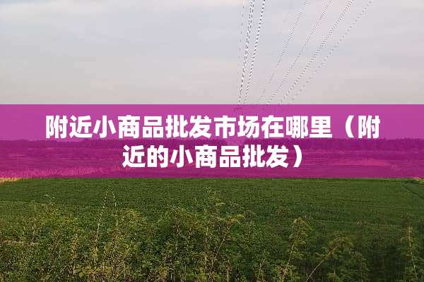 附近小商品批发市场在哪里（附近的小商品批发）