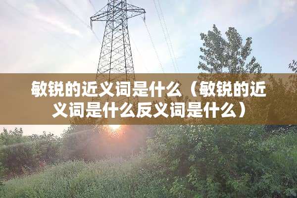 敏锐的近义词是什么（敏锐的近义词是什么反义词是什么）