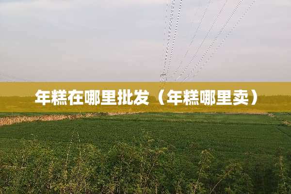年糕在哪里批发（年糕哪里卖）