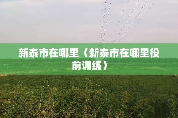 新泰市在哪里（新泰市在哪里役前训练）
