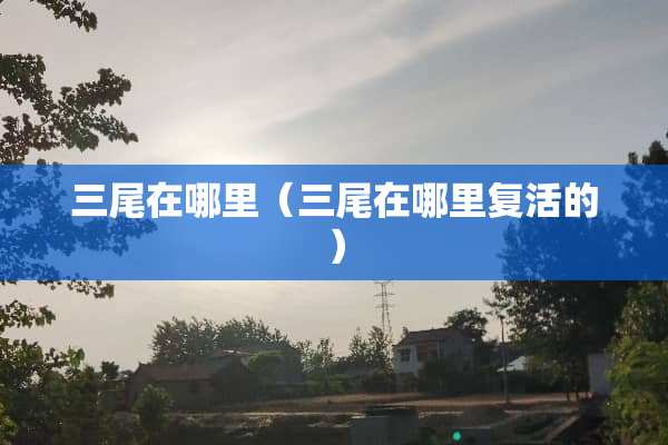 三尾在哪里（三尾在哪里**的）