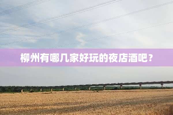 柳州有哪几家好玩的夜店酒吧？