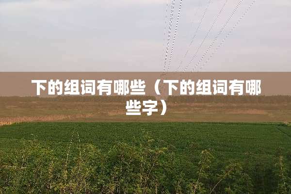 下的组词有哪些（下的组词有哪些字）