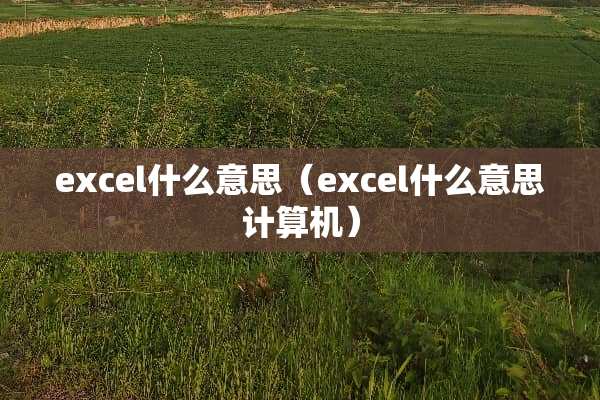 excel什么意思（excel什么意思计算机）