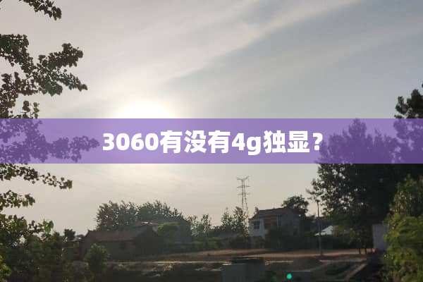 3060有没有4g独显？