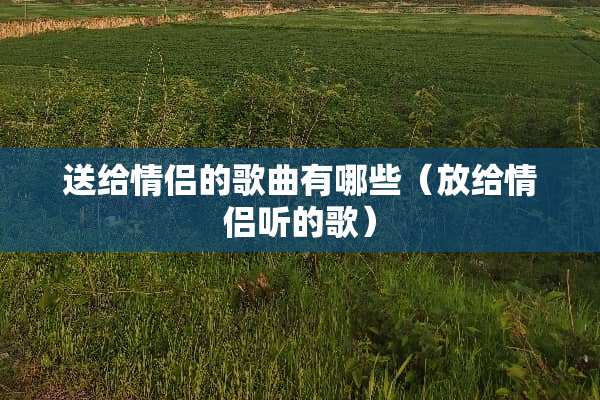 送给情侣的歌曲有哪些（放给情侣听的歌）