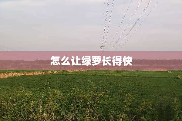 怎么让绿萝长得快