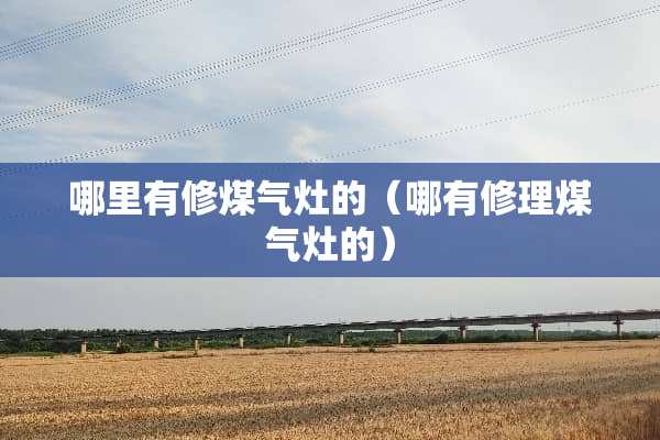 哪里有修煤气灶的（哪有修理煤气灶的）