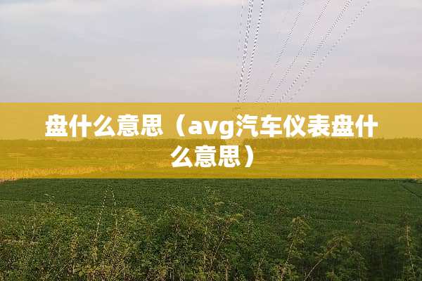 盘什么意思（avg汽车仪表盘什么意思）