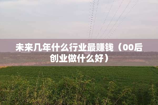 未来几年什么行业最赚钱（00后创业做什么好）