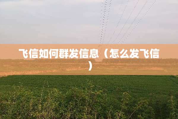 飞信如何群发信息（怎么发飞信）