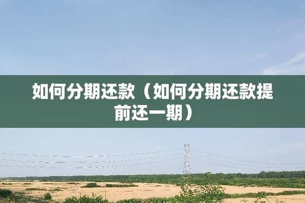 如何分期还款（如何分期还款提前还一期）