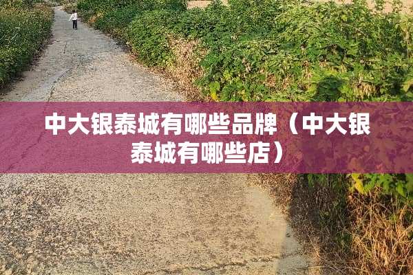 中大银泰城有哪些品牌（中大银泰城有哪些店）