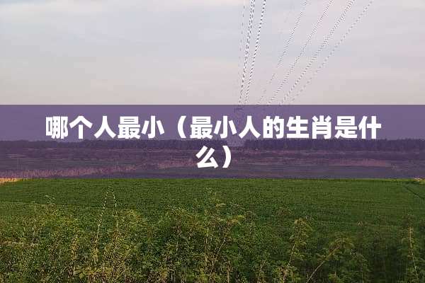 哪个人最小（最小人的生肖是什么）