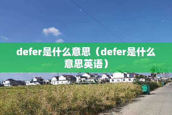 defer是什么意思（defer是什么意思英语）