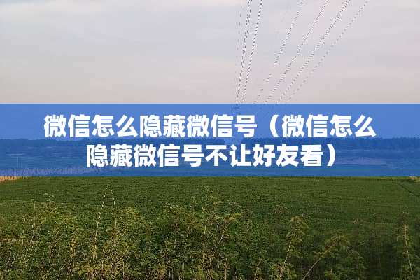 微信怎么隐藏微信号（微信怎么隐藏微信号不让好友看）