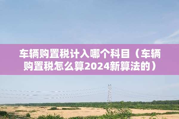 车辆购置税计入哪个科目（车辆购置税怎么算2024新算法的）